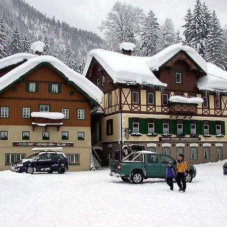 Jugendgaestehaus Gosauschmied Buitenkant foto